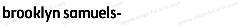brooklyn samuels字体转换